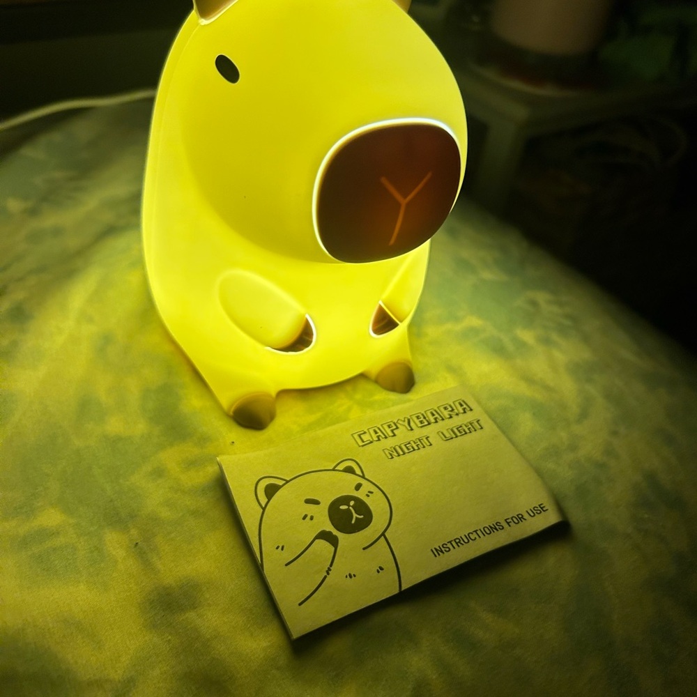 SOLD- Capybara Night Light